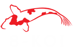 8-koi_logo-wht